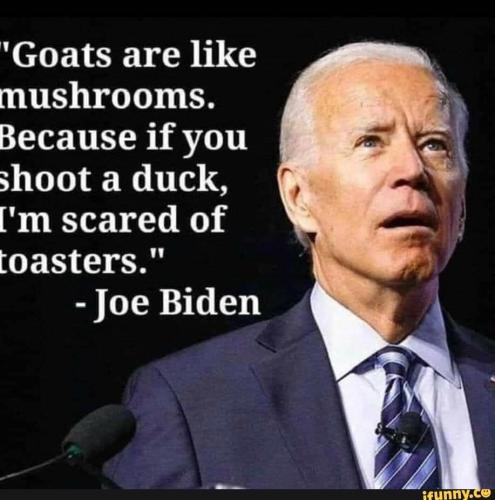 joe biden alzhemers
