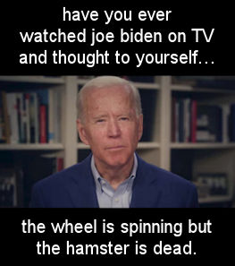 biden1663