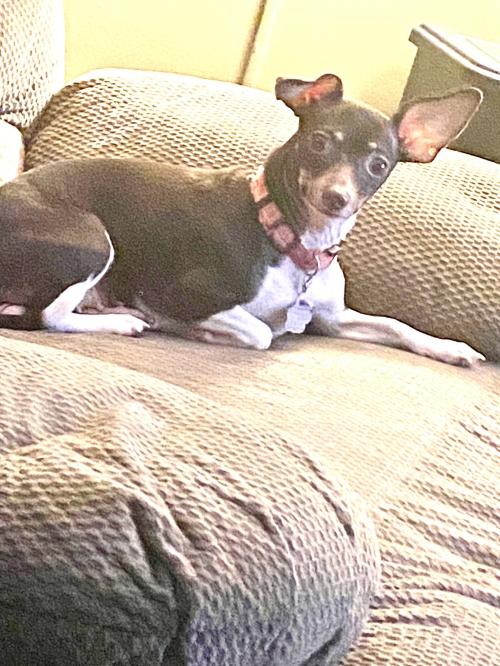 4A8EBE30-C15C-4B7F-907E-D0D5D00BB27B