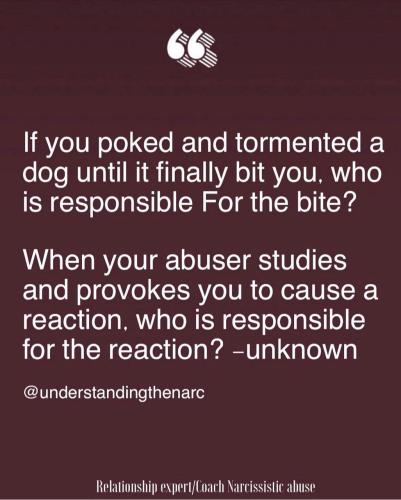 IMG_20240723_180817_200