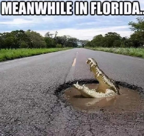 image_9D4B2294-6AB1-4578-BCD4-46A1EC998BD6