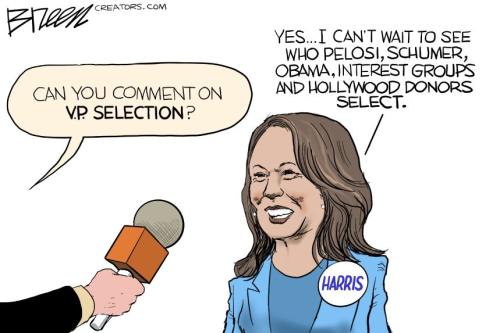 selection made