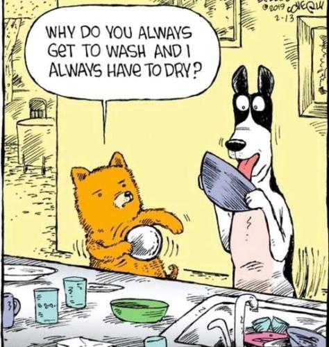 450402578_465566022747807_4864996250078321773_n