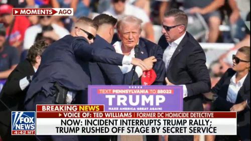 IMG_20240713_185419_083