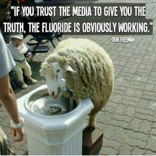 Screenshot_20240707_091951_Facebook