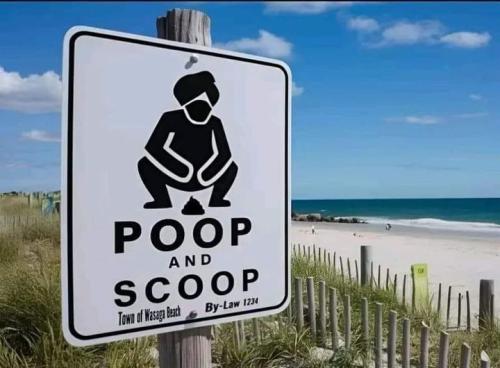 poop and scoop