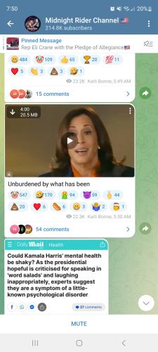 Screenshot_20240722_195043_Telegram