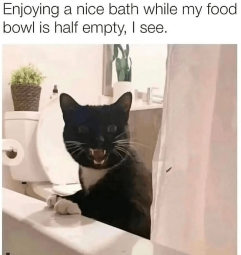 enjoying-nice-bath-while-my-food-bowl-is-half-empty-see