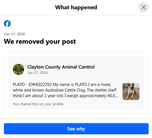 facebook hates dogs 6-27-24