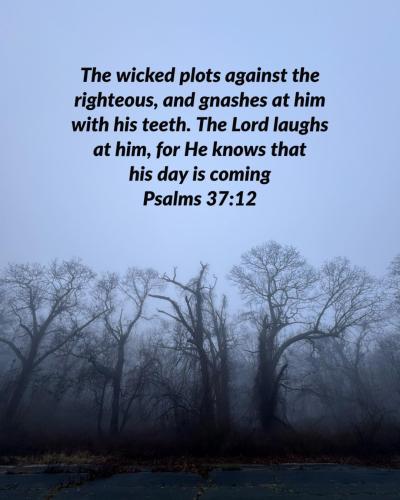 451782296_1670412887059423_7282454297067219812_n