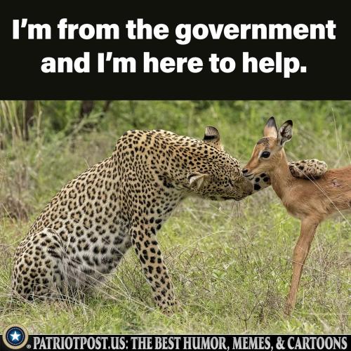 0000000000000000000000000000000000000000000000000000000000000000000000000000000000000000000000000000000000000000000000000000000000000000000000000000000000000000000000000000000000000000000000000000000puq