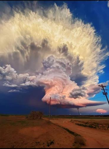 FB_IMG_1721243605546