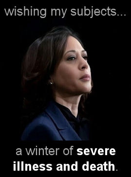 a winter of severe illness and death20