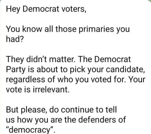 dem vote democracy t