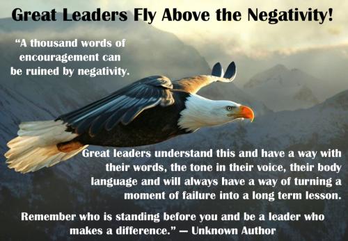 1-Eagles Fly Above the Negativity