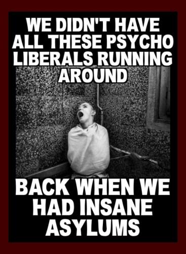 psycho_liberals_insane_asylums