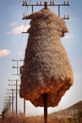 305b32cf-ca54-45e6-a250-d1bf1cb50b0c