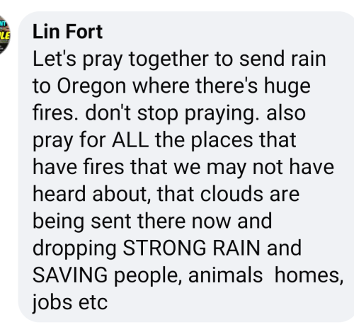 Screenshot_20240725-081644