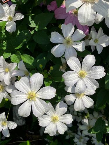 D2DA5F04-F07B-4BE8-A970-506019A9194E