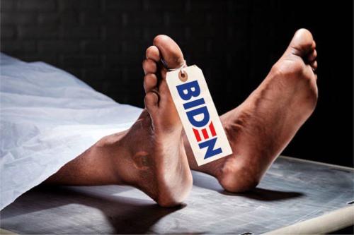 photo_2024-07-23_19-27-40