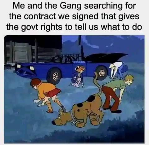 governent rights