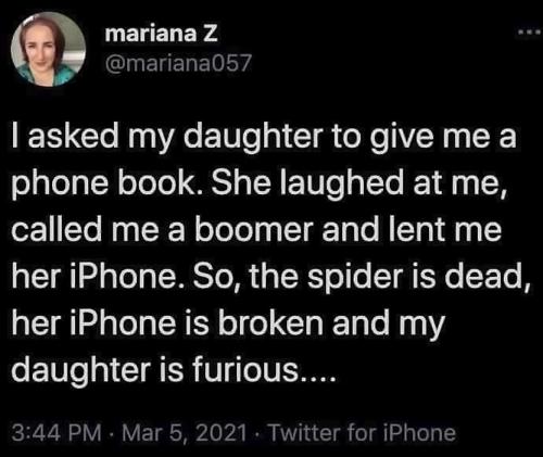 spider