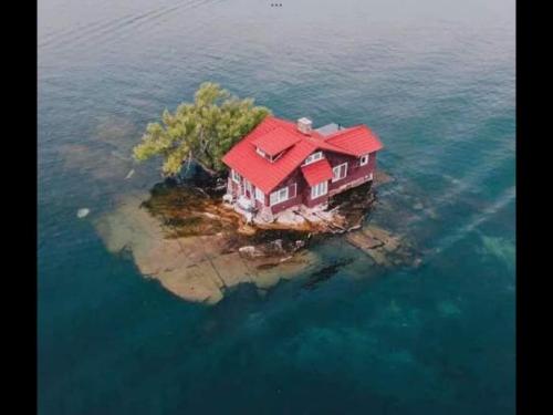 4c649394-1baf-4ceb-bf36-65405b2ee081