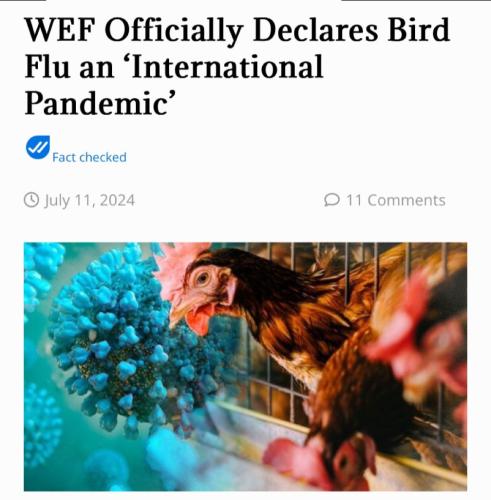20240712_170526