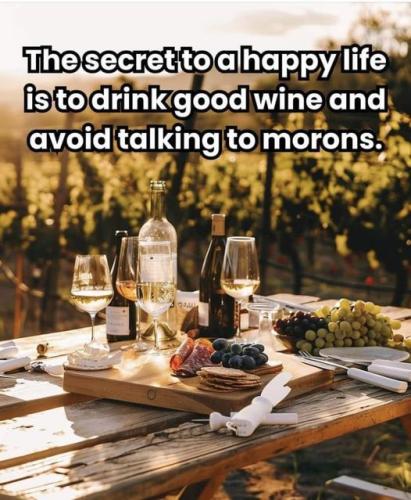 450553102_1838156010028972_4674993586462322386_n