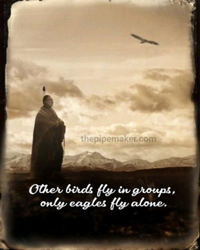 453172258_955992196328961_5061372097166523887_n