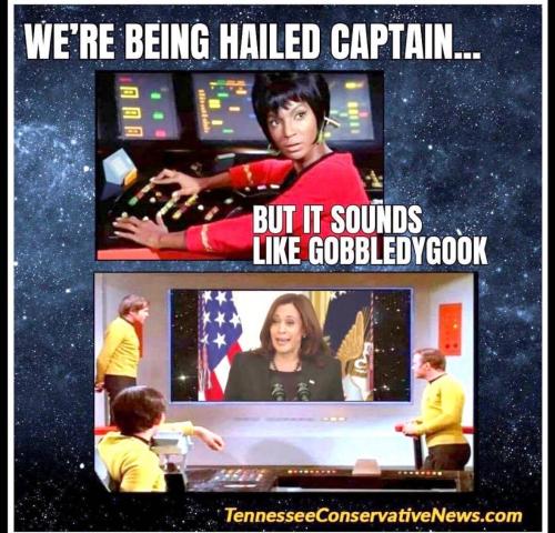 image_8549BCC9-A89D-4F2F-BE25-D23C9443BEFC