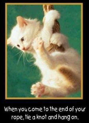 6597f901-1f35-495a-a0e8-dff9e8b0bef0