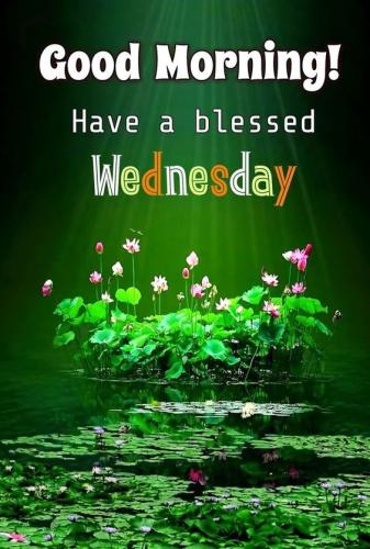 Happy Wednesday 6