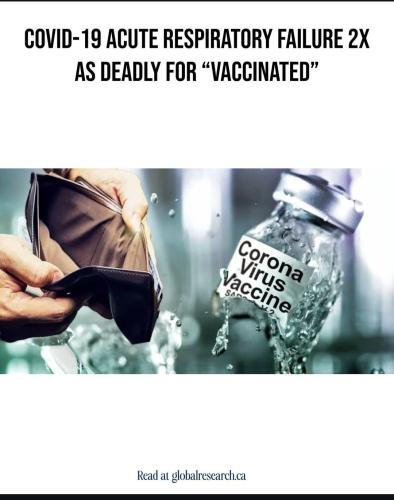 Screenshot_20240724_201204_Instagram