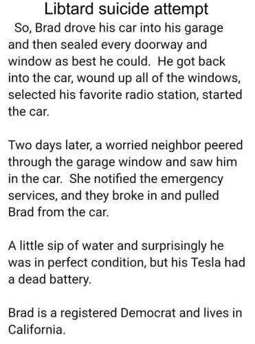 Tesla suicide attempt.568px