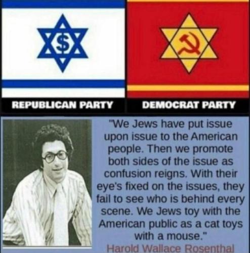 Screenshot_20240724_112751_Wimkin Free Speech Social Media