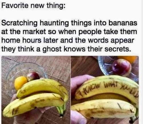 image_5A8312D3-D78C-4493-B7AD-9BCE046775A3