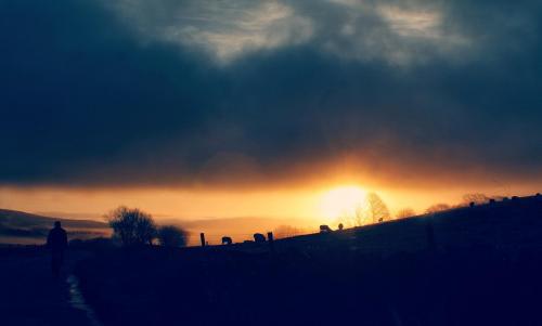 PicsArt_01-15-08.11.30-01~2