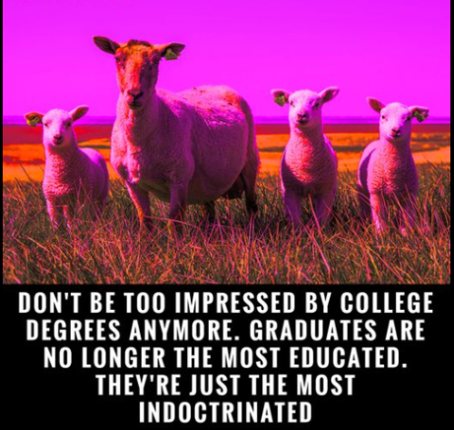 image_2024-07-11_101530032