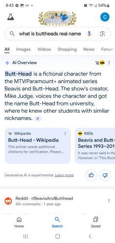 Screenshot_20240728-084320_Google