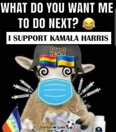 c1ea1b69-becd-4436-af16-01190a38240a