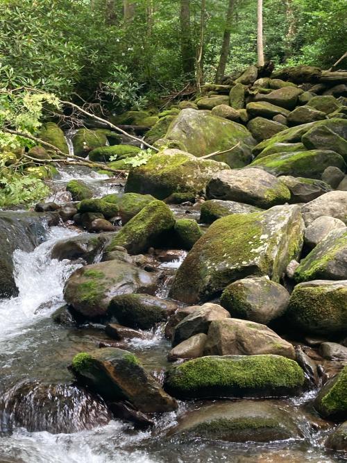 02FC1450-890B-4783-BA7C-8CCA671EEC01