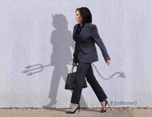 image_13943244-4C33-4A80-A5F7-76C8C95FCBA8