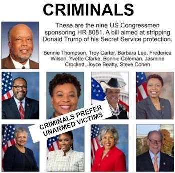 assassination attempt11