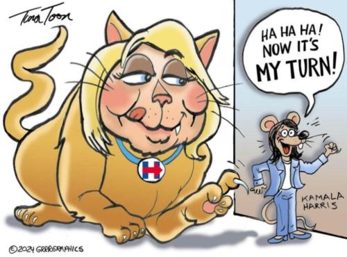 image_8BA5643A-CCBD-4C29-9C43-72DF860A6AAB