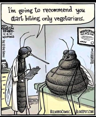 image_731FB534-9419-463E-B52E-45C5674A047C