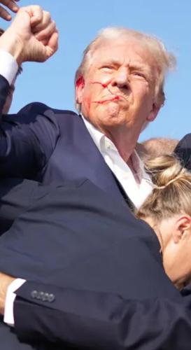 8fd99e2e-4235-430f-b152-cea76d288b6d