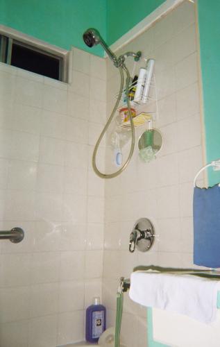 Home Shower