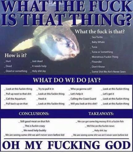 f068f554-e9ff-4cc6-944b-7a8e089783bb