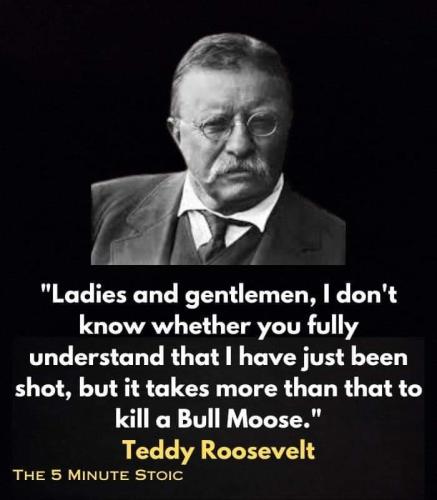 a8fb6bb4-dbac-4a46-b3d9-e057ce18e5d7